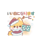 しばワンコの冬の気遣いスタンプ（個別スタンプ：38）