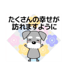 ずっと使える優しいシュナウザー 冬＆年賀状（個別スタンプ：3）