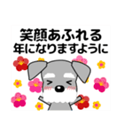ずっと使える優しいシュナウザー 冬＆年賀状（個別スタンプ：4）