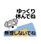 ずっと使える優しいシュナウザー 冬＆年賀状（個別スタンプ：6）