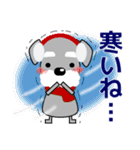 ずっと使える優しいシュナウザー 冬＆年賀状（個別スタンプ：12）
