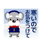 ずっと使える優しいシュナウザー 冬＆年賀状（個別スタンプ：13）