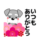 ずっと使える優しいシュナウザー 冬＆年賀状（個別スタンプ：16）