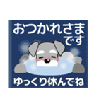 ずっと使える優しいシュナウザー 冬＆年賀状（個別スタンプ：21）