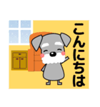 ずっと使える優しいシュナウザー 冬＆年賀状（個別スタンプ：23）