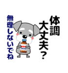 ずっと使える優しいシュナウザー 冬＆年賀状（個別スタンプ：32）