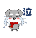 ずっと使える優しいシュナウザー 冬＆年賀状（個別スタンプ：35）