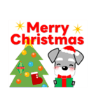 ずっと使える優しいシュナウザー 冬＆年賀状（個別スタンプ：37）