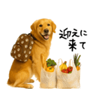ゴールデンレトリバー★必ず使う家族連絡（個別スタンプ：6）