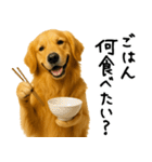 ゴールデンレトリバー★必ず使う家族連絡（個別スタンプ：27）