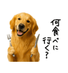 ゴールデンレトリバー★必ず使う家族連絡（個別スタンプ：28）