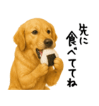 ゴールデンレトリバー★必ず使う家族連絡（個別スタンプ：29）