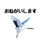 大人かわいいタンチョウ鶴（個別スタンプ：9）