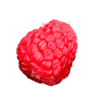 ラズベリー＆ブラックベリー コレクション（個別スタンプ：1）