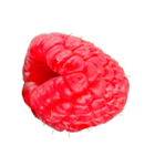 ラズベリー＆ブラックベリー コレクション（個別スタンプ：4）