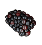 ラズベリー＆ブラックベリー コレクション（個別スタンプ：5）