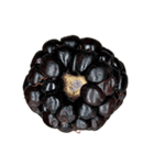 ラズベリー＆ブラックベリー コレクション（個別スタンプ：8）