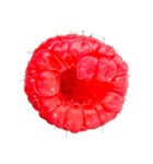 ラズベリー＆ブラックベリー コレクション（個別スタンプ：9）