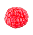 ラズベリー＆ブラックベリー コレクション（個別スタンプ：10）