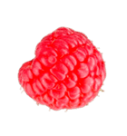 ラズベリー＆ブラックベリー コレクション（個別スタンプ：12）