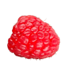 ラズベリー＆ブラックベリー コレクション（個別スタンプ：17）
