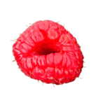 ラズベリー＆ブラックベリー コレクション（個別スタンプ：18）