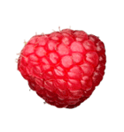 ラズベリー＆ブラックベリー コレクション（個別スタンプ：19）