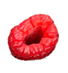 ラズベリー＆ブラックベリー コレクション（個別スタンプ：20）