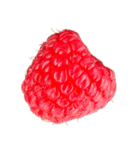 ラズベリー＆ブラックベリー コレクション（個別スタンプ：25）