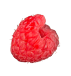 ラズベリー＆ブラックベリー コレクション（個別スタンプ：26）