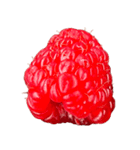 ラズベリー＆ブラックベリー コレクション（個別スタンプ：27）