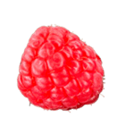 ラズベリー＆ブラックベリー コレクション（個別スタンプ：28）