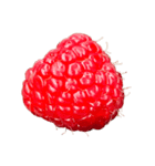 ラズベリー＆ブラックベリー コレクション（個別スタンプ：33）