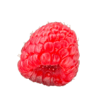 ラズベリー＆ブラックベリー コレクション（個別スタンプ：34）