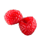 ラズベリー＆ブラックベリー コレクション（個別スタンプ：35）