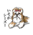 【再販】和風ダジャレのお正月～粋な筆絵3（個別スタンプ：18）