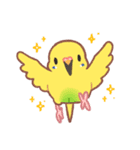 おぴちちゅんねるの小鳥スタンプ（個別スタンプ：1）