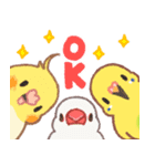 おぴちちゅんねるの小鳥スタンプ（個別スタンプ：3）
