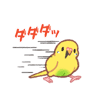 おぴちちゅんねるの小鳥スタンプ（個別スタンプ：5）