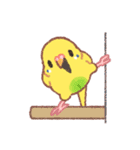 おぴちちゅんねるの小鳥スタンプ（個別スタンプ：6）