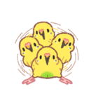 おぴちちゅんねるの小鳥スタンプ（個別スタンプ：7）