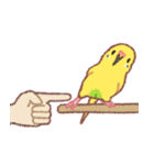 おぴちちゅんねるの小鳥スタンプ（個別スタンプ：8）