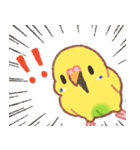 おぴちちゅんねるの小鳥スタンプ（個別スタンプ：9）