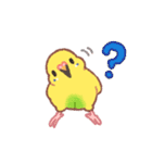 おぴちちゅんねるの小鳥スタンプ（個別スタンプ：11）