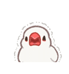 おぴちちゅんねるの小鳥スタンプ（個別スタンプ：12）