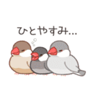おぴちちゅんねるの小鳥スタンプ（個別スタンプ：14）