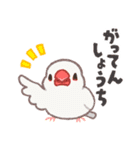 おぴちちゅんねるの小鳥スタンプ（個別スタンプ：15）