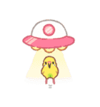 おぴちちゅんねるの小鳥スタンプ（個別スタンプ：21）