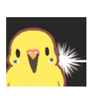 おぴちちゅんねるの小鳥スタンプ（個別スタンプ：25）