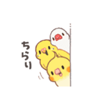 おぴちちゅんねるの小鳥スタンプ（個別スタンプ：27）
